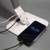 Миниатюра фото настольная лампа citilux ньютон cl803021 | 220svet.ru
