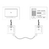 Миниатюра фото розетка hdmi werkel слоновая кость w1186003 | 220svet.ru
