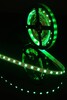 Миниатюра фото лента swg 14,4w/m  60led/m 5050smd зеленый 5m swg560-12-14.4-g-м 009706 | 220svet.ru