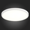Миниатюра фото настенно-потолочный светодиодный светильник st luce st601.532.32 | 220svet.ru