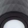 Миниатюра фото потолочный светильник arte lamp fang a5559pl-1bk | 220svet.ru