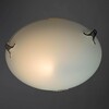 Миниатюра фото настенный светильник arte lamp plain a3720pl-1cc | 220svet.ru