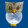 Миниатюра фото светильник на солнечных батареях uniel special usl-s-813/gt160 owl ul-00007867 | 220svet.ru