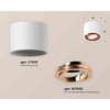 Миниатюра фото комплект накладного светильника ambrella light techno spot xs7510005 swh/ppg белый песок/золото розовое полированное (c7510, n7005) | 220svet.ru