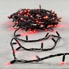 Миниатюра фото гирлянда нить 10м красная 220в 100 led провод черный каучук ip65 ltc ll100-1-2r | 220svet.ru