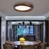 Миниатюра фото потолочный светодиодный светильник imperium loft runis 140974-26 | 220svet.ru