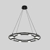 Миниатюра фото подвесная люстра lumion torina 8340/8 черный | 220svet.ru