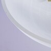 Миниатюра фото потолочный светильник mw-light аида 323012603 | 220svet.ru