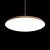 Миниатюра фото подвесной светильник loft it plato 10119 orange | 220svet.ru