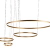 Миниатюра фото подвесной светильник loft it ring 10017/4l | 220svet.ru