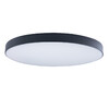 Миниатюра фото потолочный светильник loft it axel 10002/48 black | 220svet.ru