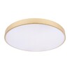 Миниатюра фото потолочный светильник loft it flims 10228/b | 220svet.ru