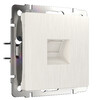 Миниатюра фото розетка ethernet rj-45 werkel перламутровый рифленый w1181013 | 220svet.ru