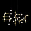 Миниатюра фото люстра molecular 30 black/gold delight collection | 220svet.ru