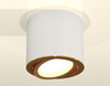 Миниатюра фото накладной светильник ambrella light techno spot xs7401004 | 220svet.ru