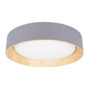 Миниатюра фото потолочный светильник loft it coin 10202 grey | 220svet.ru