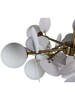 Миниатюра фото люстра на шатанге zortes floret zrs.01201.10 | 220svet.ru