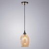 Миниатюра фото подвесной светильник arte lamp propus a4344sp-1ab | 220svet.ru