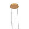 Миниатюра фото подвесной светодиодный светильник loft it ring 10017/3m | 220svet.ru