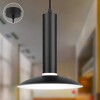 Миниатюра фото подвесной светильник эра pl14 bk б0061363 | 220svet.ru