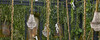 Миниатюра фото настенный светильник monkey lamp hanging left seletti 14921 | 220svet.ru