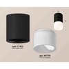 Миниатюра фото комплект накладного светильника ambrella light techno spot xs7422025 sbk/fr черный песок/белый матовый (c7422, n7170) | 220svet.ru