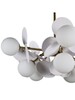Миниатюра фото люстра на шатанге zortes floret zrs.01201.10 | 220svet.ru