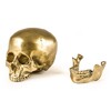 Миниатюра фото статуэтка wunderkrammer human skull seletti | 220svet.ru