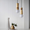 Миниатюра фото подвесной светильник imperium loft sash 102008-26 | 220svet.ru