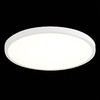 Миниатюра фото настенно-потолочный светодиодный светильник st luce st601.532.32 | 220svet.ru