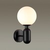 Миниатюра фото бра odeon light okia 4668/1w | 220svet.ru