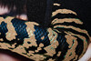 Миниатюра фото холст garda decor 89vor-girl/snake-1 | 220svet.ru