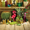 Миниатюра фото силиконовая форма для кубиков льда tropical 22x13x2 см barcraft kitchen craft | 220svet.ru