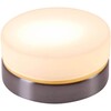 Миниатюра фото потолочный светильник globo opal 48400 | 220svet.ru
