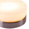 Миниатюра фото потолочный светильник globo opal 48400 | 220svet.ru