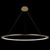 Миниатюра фото подвесной светильник loft it ring 10014xxl | 220svet.ru