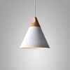 Миниатюра фото подвесной светильник imperium loft xd-b 178212-26 | 220svet.ru