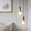 Миниатюра фото подвесной светильник imperium loft sash 102008-26 | 220svet.ru