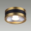Миниатюра фото потолочный светодиодный светильник odeon light reus 6613/7cl | 220svet.ru
