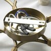 Миниатюра фото потолочная люстра lussole lgo grlsp-0223 | 220svet.ru