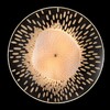Миниатюра фото бра crystal lux contessa ap2.1 | 220svet.ru