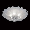 Миниатюра фото потолочный светильник lightstar lobo 804020 | 220svet.ru