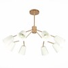 Миниатюра фото подвесная люстра evoluce mario sle155902-08 | 220svet.ru