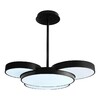 Миниатюра фото подвесная светодиодная люстра iledex demure 9127-930-d-t bk | 220svet.ru