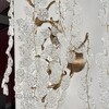 Миниатюра фото настенный светильник imperium loft fairytree 167148-26 | 220svet.ru