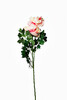 Миниатюра фото пион розовый garda decor 8j-13gs004-1 | 220svet.ru