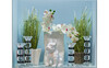 Миниатюра фото подсвечник garda decor x150645 | 220svet.ru