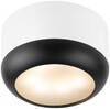 Миниатюра фото настенно-потолочный светильник эра ol56 wh/bk б0061881 | 220svet.ru