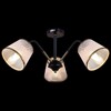 Миниатюра фото потолочная люстра illumico il0344-3csq-79 bk ab | 220svet.ru